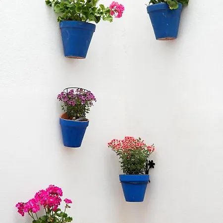 Apartment Urbanchic Carreteria Malaga